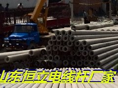 8米电线杆厂家