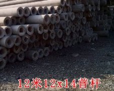 12米水泥电线杆12x14
